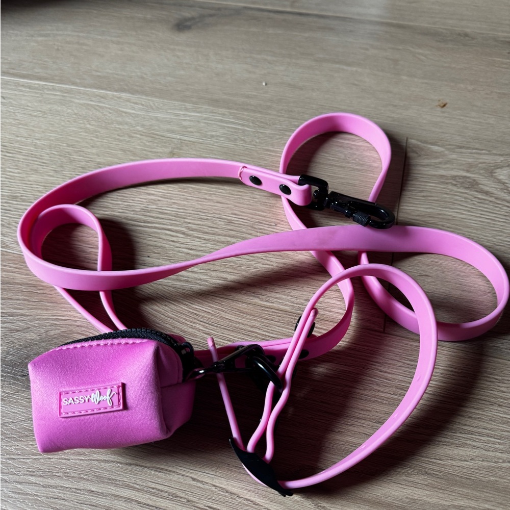 Sassy Woof Pink Dog Leash and collar with Pouch